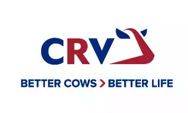 CRV